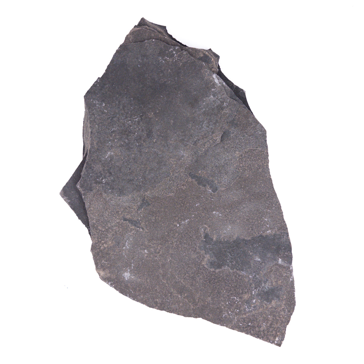 NE-001